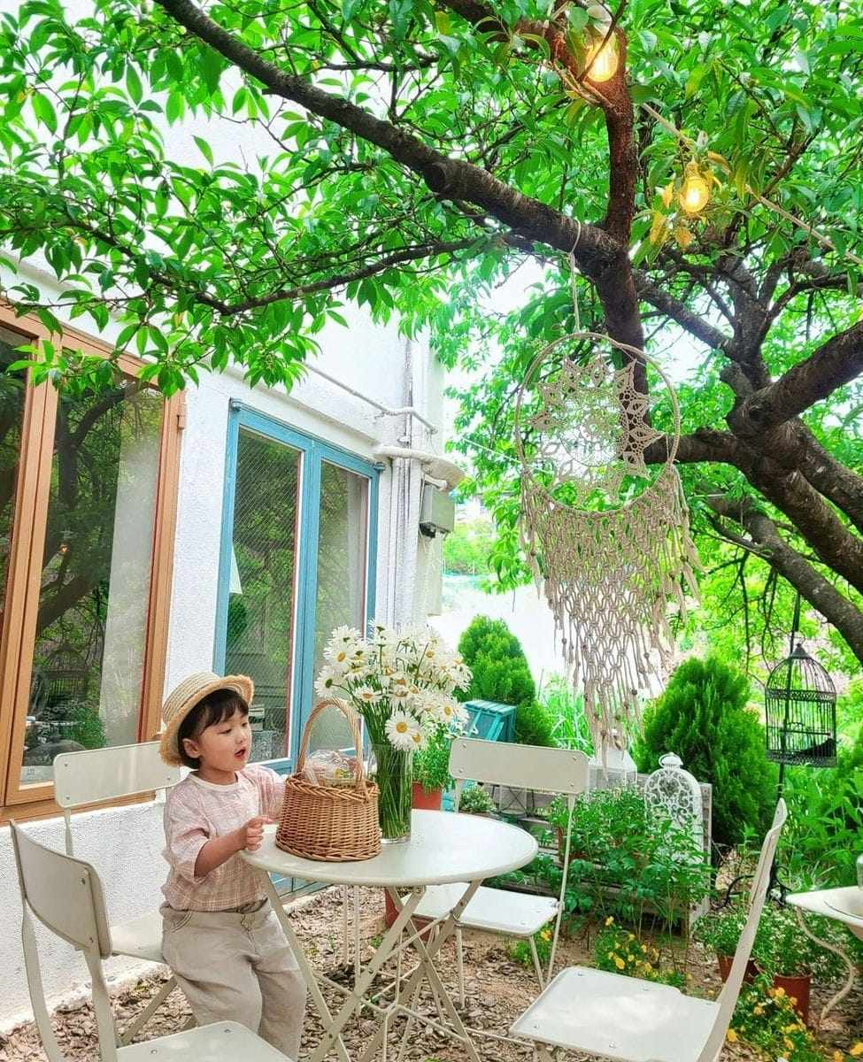 283680428 308596488136066 9117753302862703236 n 1 Quán cà phê sân vườn ngập tràn hoa tại Kangwon