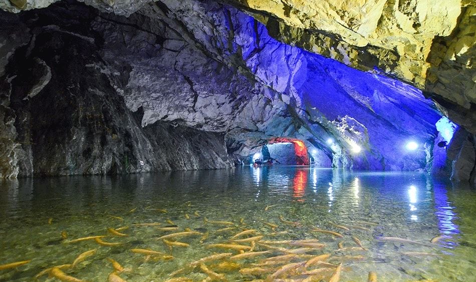 img 2 2 Trải nghiệm Chèo thuyền kayak trong hang động 🚣