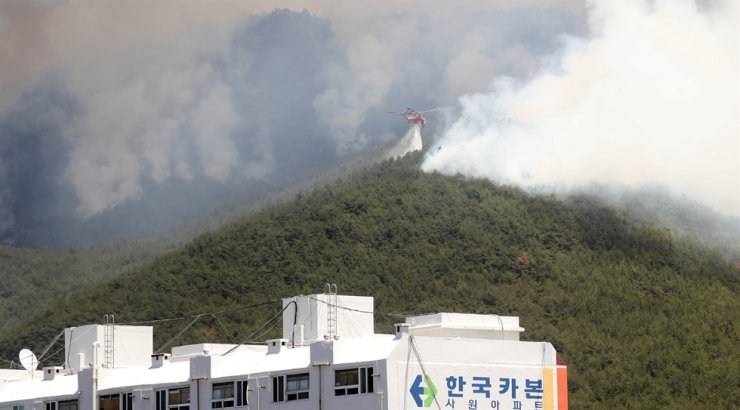 y5 Hàn Quốc huy động 57 trực thăng đối phó với đám cháy rừng dữ đội ở đông nam đất nước